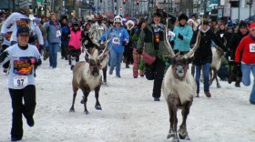 Top Winter Festivals Those Are Quite Famous